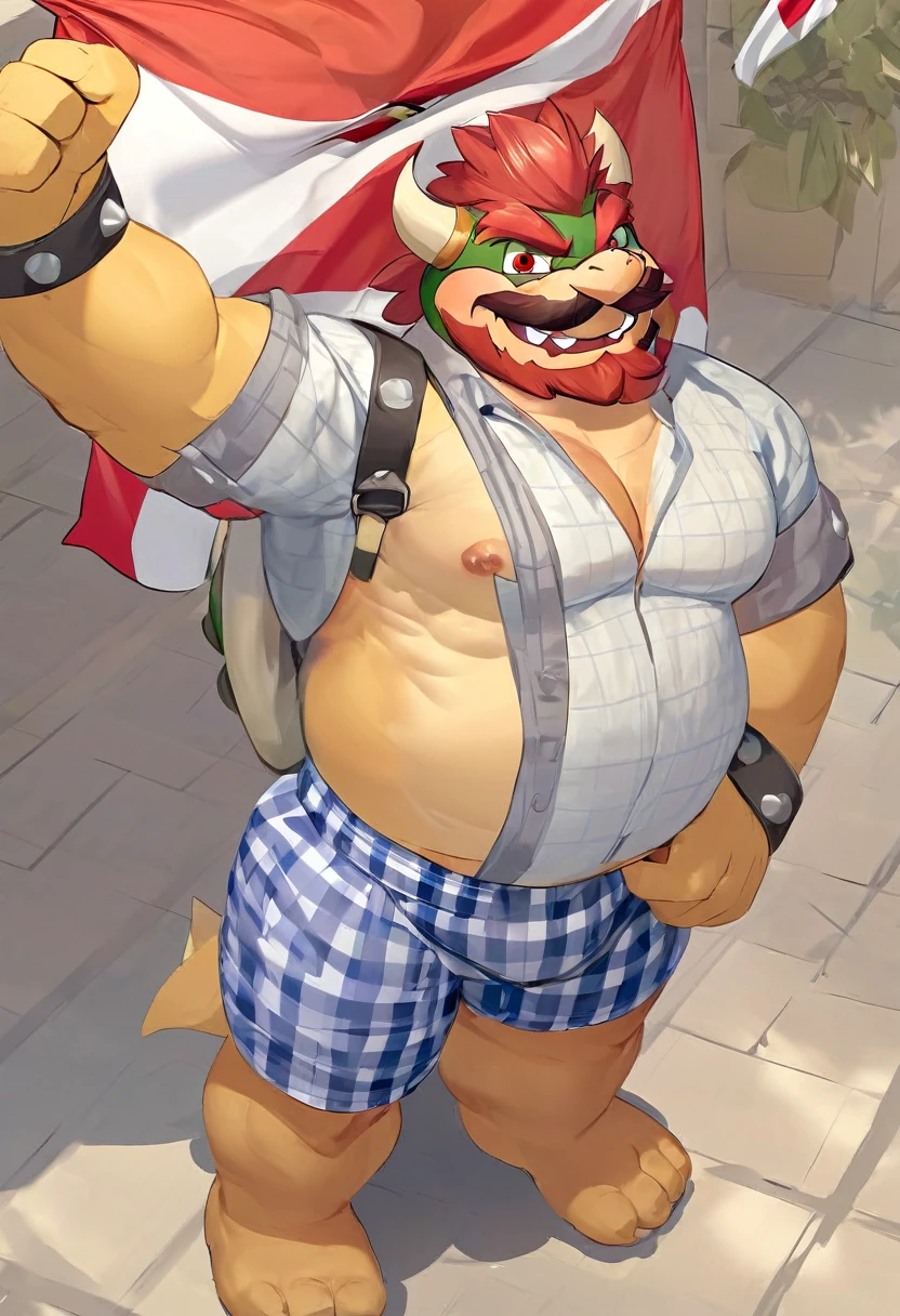 Bowser, gray beard, gray mustache, DILF, seductive, looking at the viewer, SMILE, white and blue plaid loose boxers, White shirt, open shirt, (posing) masculine, alone, the second, gordo, large size, Thick, cellular shading, standing, stopped, whole body, Aerial view, From above, with both hands holding the flag of Peru