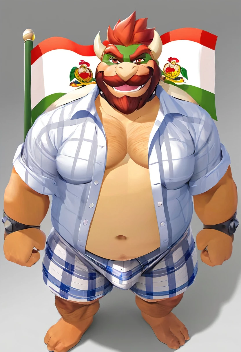 Bowser, gray beard, gray mustache, DILF, seductive, looking at the viewer, SMILE, white and blue plaid loose boxers, White shirt, open shirt, (posing) masculine, alone, the second, gordo, large size, Thick, cellular shading, standing, stopped, whole body, Aerial view, From above, with both hands towards holding the peruvian flag