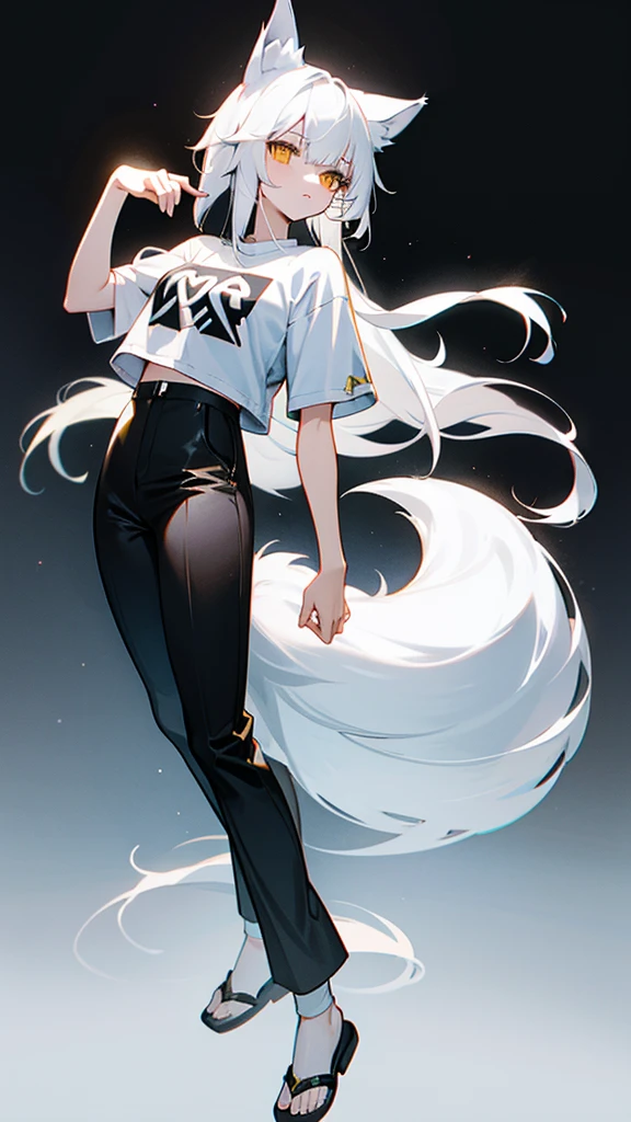 wolf girl white hair white wolf ears maximum resolution eyes Gold and black t-shirt black pants and white wolf tail have two white slippers