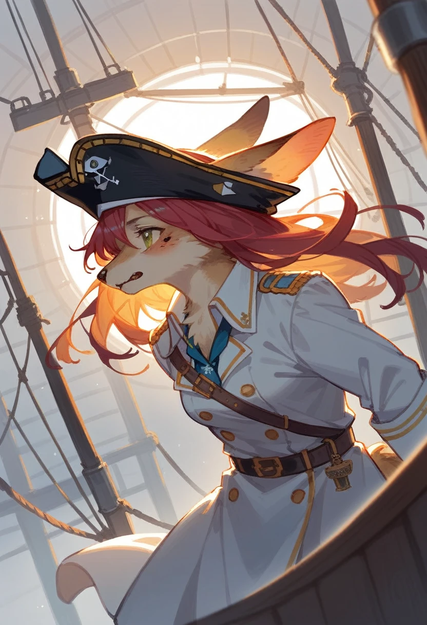 top quality, best quality, High-quality illustrations, masterpiece, super high resolution, detailed background, Hospitals with power outages, Spooky creatures, Pirate Ship, a pirate, 1girl, absurdres(highly detailed beautiful face and eyes)perfect anatomy, expression, good lighting, cinematic shadow(kemono, furry anthro),