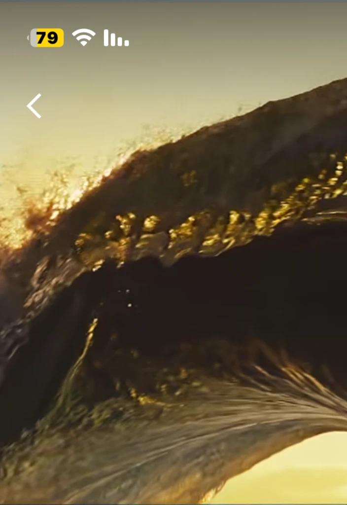 a surfer surfs in the barrel