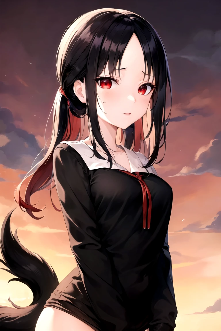 Shinomiya Kaguya, Shinomiyakaguya, Red eyes, small breasts, list brook, black fur, Red eyes, naked