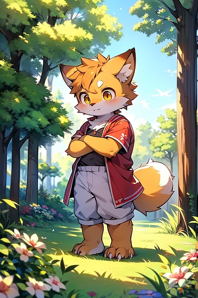 shaggy,shaggy,Golden fur,Golden fur,Golden fur,Golden fur,Golden hair,male people,canid,adolable,The little fox,The little fox,The little fox,adolable,solo person,sharp talons,Detailed fur,Golden eyes,Thick eyebrows,Fluffy tail,red short sleeves,short white pants,ultra - detailed:1.0,Libido boy,toddlers,children,children's,Gamine,Beast too,adolable,adolable,Shota(Via Dagasi:1.1),anatomy correct,Barefoot,Red Claw,Bare claws,Barefoot paws,Barefoot paws,standing on your feet,attention,bald-headed,Animal foot paws,lawns,grassy fields,On the lawn,on a grassy field,Tread on the grass,Trampling on small grass,Tread on the grass,Trampling the meadow,Tread on the lawn,Trampling the lawn,bald-headed,balding,balding