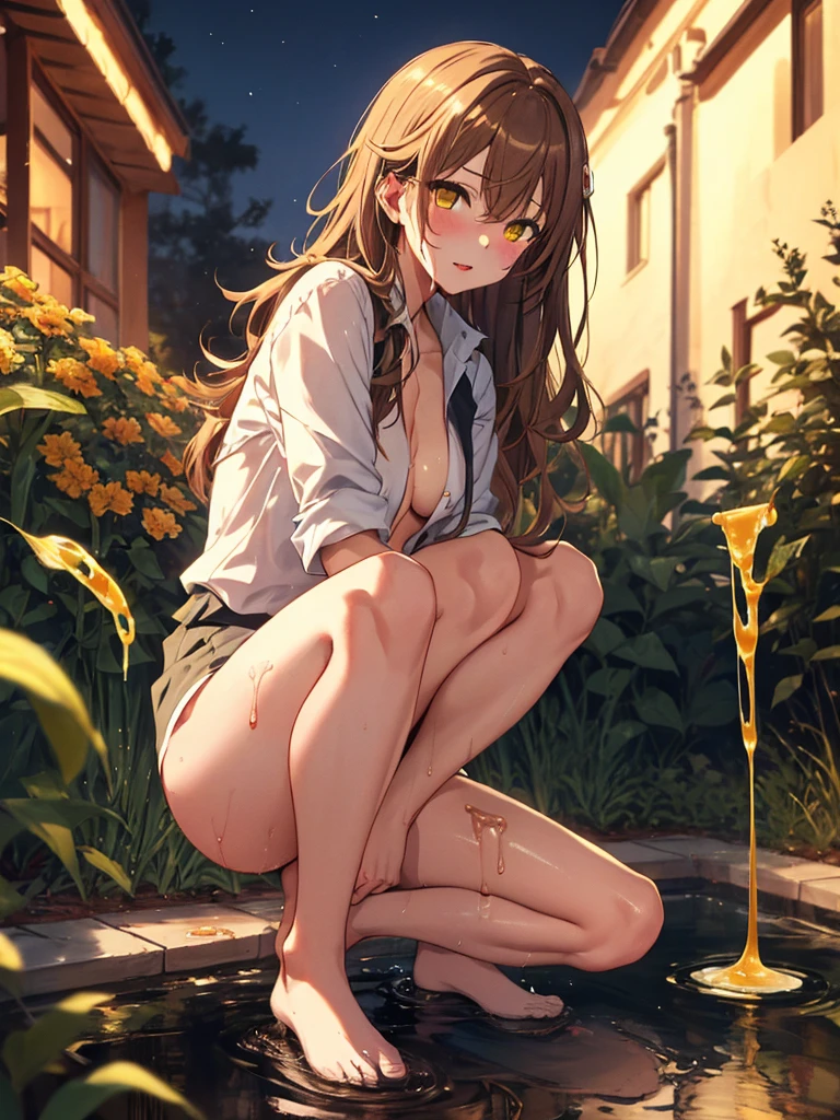 NSFW, Slender Body:1.5, 12 Talents, beautiful girl, cute, Pitiful, crowd, Completely naked, Slut, incontinence, (Yellow liquid dripping from between her legs:1.2), (Yellow puddle at my feet:1.2), 夜のgarden, garden, squat, Leg spread, Misaka Mikoto, (masterpiece), highest quality, 1girl, uhd, retina, masterpiece, ccurate, anatomically correct, textured skin, super detail, high details, high quality, best quality, highres, 4K