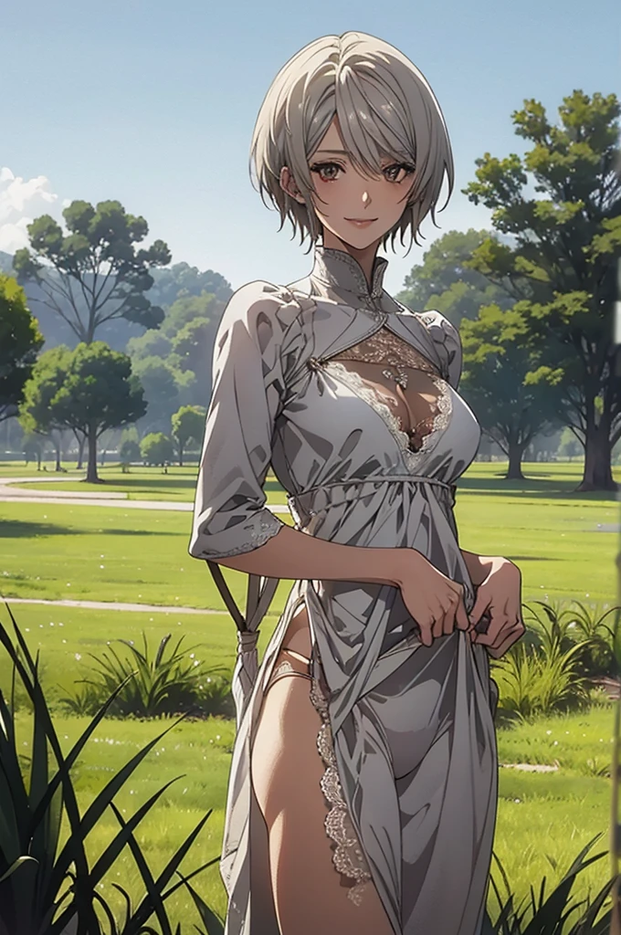 (Highest quality, High resolution, Very detailed), Silver Hair, Super short hair, Reddish brown eyes, white maxi dress, lace thong, Large Breasts, 24th generation, Beautiful woman, mature, quiet, Calm, A small smile, park, Grass, blue sky,