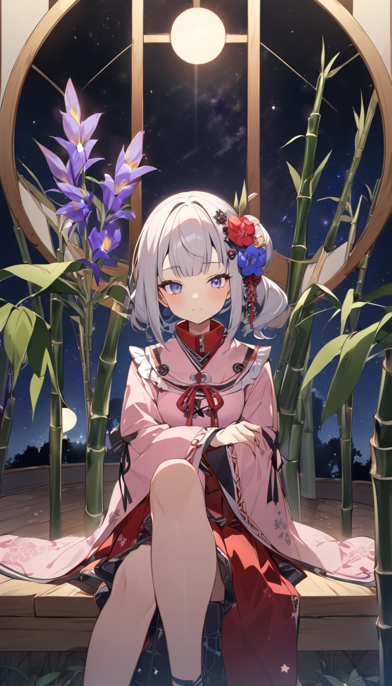 Mount Horai Kaguya, One girl, alone, Red Skirt, Pink Shirt, Long sleeve, hair ornaments, hair flower, Wide sleeves, flower, Iris, bamboo, The legs are off the frame, Sitting, Mouth closed, View your viewers, night, star (null), Ruffle sleeves, null, night null, starry null, Side Lock, Jewel of Horai Branch,