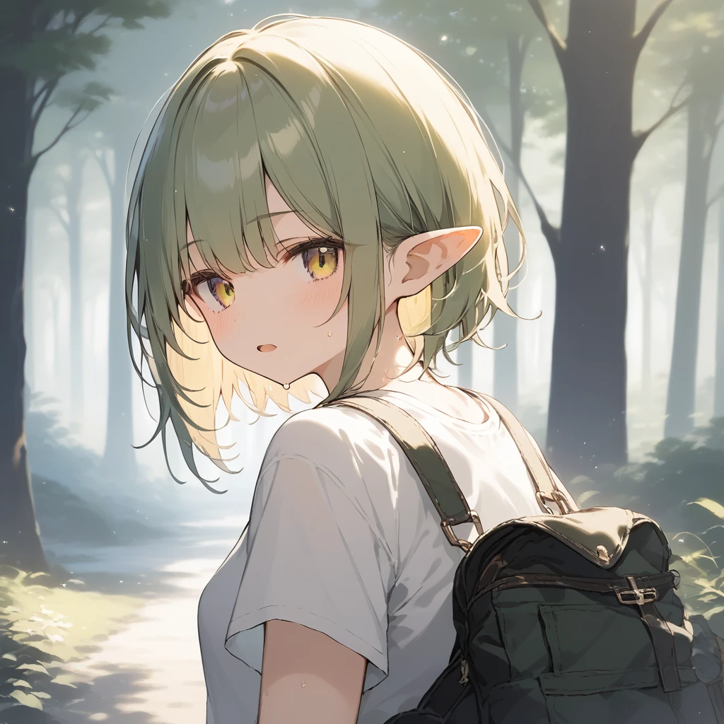 score_9, score_8_up, score_7_up, source_anime, best quality, masterpiece, official art, absurdres, highres, ultra-detailed,waifu2x,Collection: Slice of Life,break,1girl, elf, short hair, slender, androgynous,expressionless, small breasts, beautiful detailed eyes, green shorts, sweat, open mouth, sleepily, outdoors, forest, spring,break,(clear line illustration:1.2), super detailed skin,very high resolution, very aesthetic, Best sexual lighting powered by famous artist, 8k,cute picture,beauty illustration,photoshop_(medium),,(Detailed Lighting),best anime 8k konachan wallpaper, pixiv contest winner,