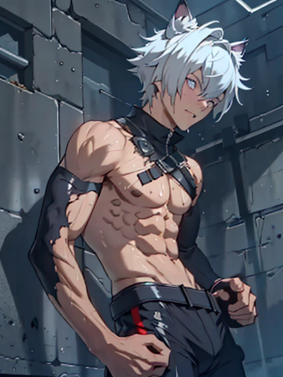 ((Fine details)), Best Shadow,Cinema Lighting,Highest quality,((Very detailed)) masterpiece the body is slim Embarrassing Gray Hair Electricity began get wet Big eyes thin The suit was torn Upper body naked sweating Delicate body Damaged High saturation Six-headed body boy Ryona Hurt torture Clothing saturation 0 I was injured High chance of losing Skin is visible in places shout View from below Overall image Femboy Light hits the skin Baby Face Fallen Skinny body Lie down punish young Flexible body Mind control Swimwear The body is slim Cat ear Screaming enduring pain Rear view I can see your back とてもBig eyes lean slender body Kneeled blue eyes Purple eyes black eye Dark pupils Belt around the crotch erection Foot on the ground