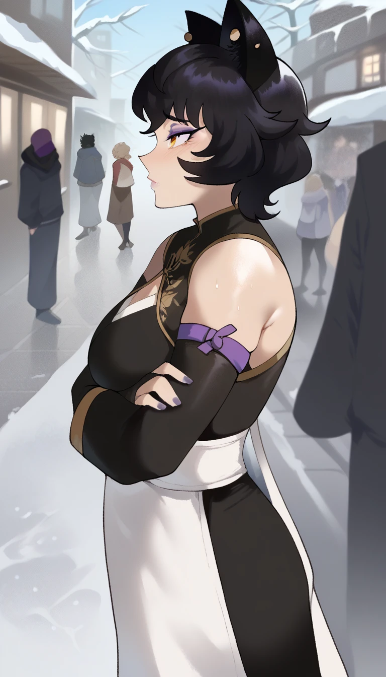 score_9, score_8_up, score_7_up,
mature female,
kali belladonna, large breast,
snowy street,
nyong_nyong,
from above, from side
standing with arms crossed,
cold