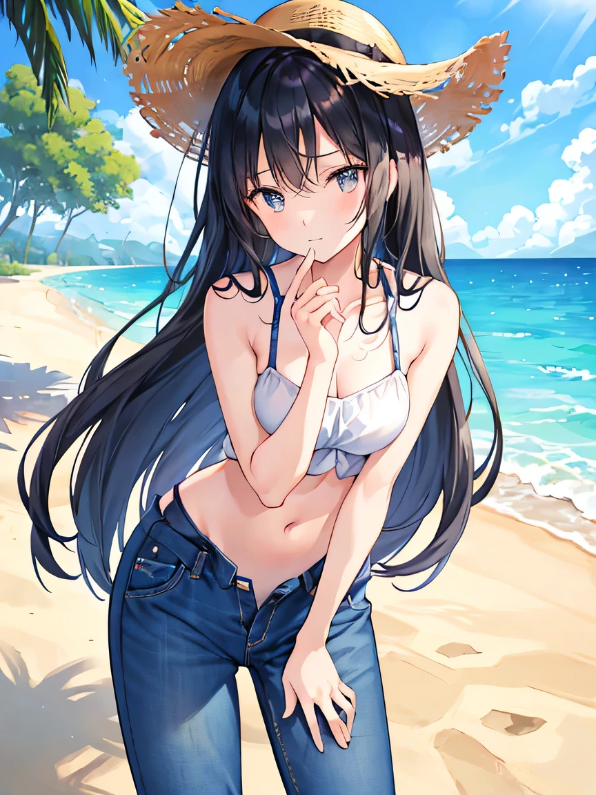 Anime girl standing on the beach, The sea in the background, sunny, Beautiful sky, beautifully daylight, Wind, Wave, (One girl), Long black hair, Brown eyes, Small breasts, belly button, Wearing a black swimsuit, Sun hat, smile, Blushing, Expressive eyes, Nice views, masterpiece, High resolution, 8K