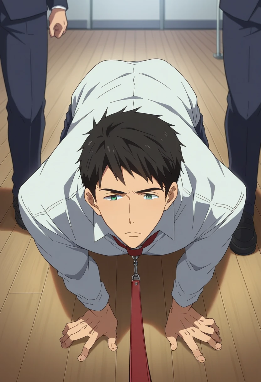 score_9, score_8_wonderful, score_7_wonderful, sauce_anime,free!,Sousuke,Male Focus,1 male,No pants,Red tie，Auction,Long sleeve white shirt,On all fours,Place your hands on the floor,penis,Leash color,View your audience,Squat,Black Hair,Green Eyes,humiliation,Obedience