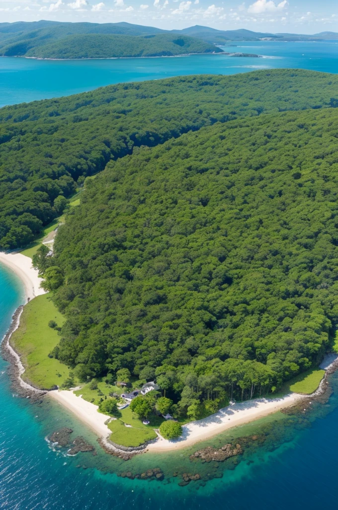 Image of an island with trees, There&#39;s a castle in it, I want to see the entire island from afar 