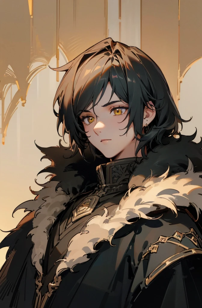 (Top quality details:1.22), 8K, High Resolution, Super detailed, High-quality texture, Intricate details, Detailed Texture, In detail, High detail, High Quality Shadows, Beautiful face down to the last detail, Beautiful and kind eyes, Depth of written boundary, human, Adult, man, male, 1 boy , trimmed fur coat, anime armor, black hair, golden eyes, determined