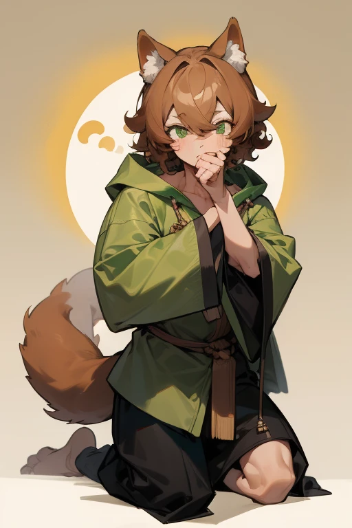 masterpiece, best quality,8k, perfect face, expressive eyes, shiba inu dogman, 1man,(parted bangs), medieval, hoody, floppy folded dog ears, dog tail, short hair, curly hair, light brown hair, fluffy hair, tan skin, full body, androgynous, male focus, 1man, green eyes, (adoptable character:0.5), simple background, solo, (bangs covering eyes), full grown, adult, femboy,
