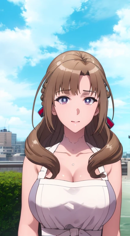 (day:1.7), a city with a lot of buildings and a sky background with clouds in the background and a blue sky, architecture,
Standing at attention, at the roof,
deep cleavage, collarbone, White apron,bare shoulders, 
blonde Hair,  brown eyes, Bangs, single braid, 
1 girl, 20yo,Young female,Beautiful Finger,Beautiful long legs,Beautiful body,Beautiful Nose,Beautiful character design, perfect eyes, perfect face,expressive eyes,
looking at viewer, in the center of the image,(Upper_body),(close-Up),(Focus on her face),
official art,extremely detailed CG unity 8k wallpaper, perfect lighting,Colorful, Bright_Front_face_Lighting,shiny skin, 
(masterpiece:1.0),(best_quality:1.0), ultra high res,4K,ultra-detailed,
photography, 8K, HDR, highres, absurdres:1.2, Kodak portra 400, film grain, blurry background, bokeh:1.2, lens flare, (vibrant_color:1.2)
(Beautiful,large_Breasts:1.4), (beautiful_face:1.5),(narrow_waist),