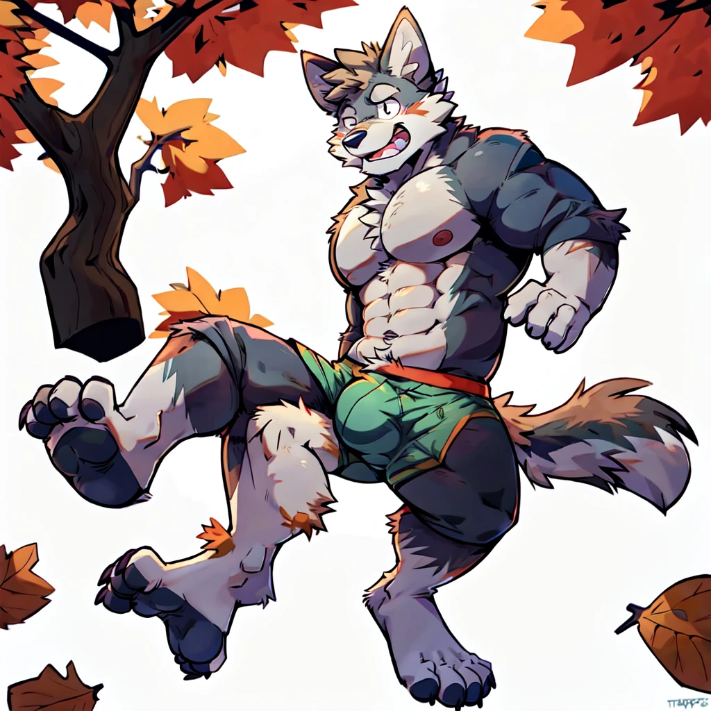Wolf, By Haps, 1boy, abs, animal ears, bara, bulge, full body, white background, Seminude, Boxers, Fall, side, Falling, feet