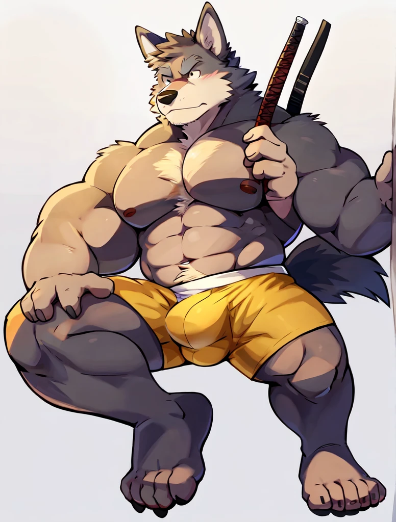 Wolf, By Haps 1boy, abs, animal ears, bara, bulge, full body, white background, Seminude, Boxers, side, Falling, feet, holding Katana,