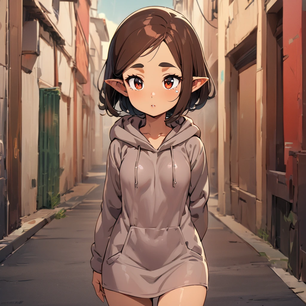 ((masterpiece,best quality)), highly detailed, background: street , 1 human girl, 16 year old, Teardrop shaped breasts, wearing a Fleece-lined hoodie dress, walking away from the camera with one hand in the hoodie pocket and the other trailing the fleece fabric, Eyes: Deep-set, hazel with green flecks, Nose: Straight and slender, Lips: Full, deep red, Hair: Long, wavy, dark brown, Skin Tone: Fair with a cool undertone, Eyebrows: Medium thickness, gently arched, Cheekbones: High and sculpted, Chin: Pointed, Ears: Medium-size, Expression: Graceful and introspective