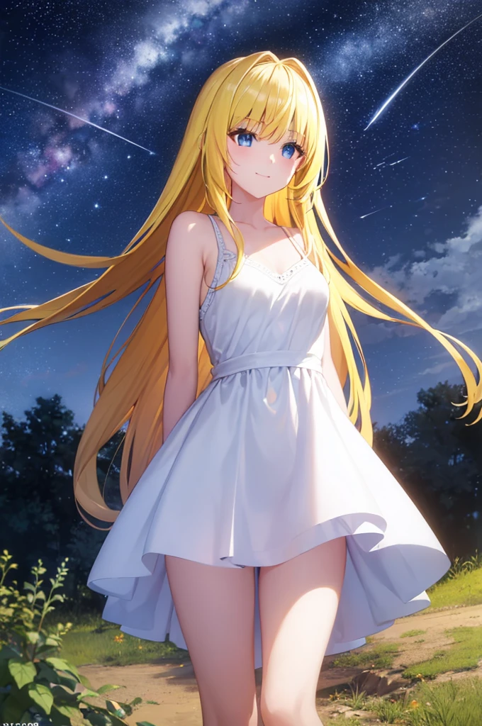 (masterpiece:1.3), (best quality:1.1), (8k, ultra detailed, ultra high res:1.2), ((anime style)), 
1girl,
BREAK long hair, wavy hair, arms behind back, 
(blonde hair), 
(blue eyes), 
medium , (white camisole, Sequins, white sequins:1.2),  
BREAK smile, (gazing skyward:1.2), 
cowboy shot, BREAK (outdoor, Stars, Shooting star, sky, at night, galaxy, Cosmos, summer:1.3),