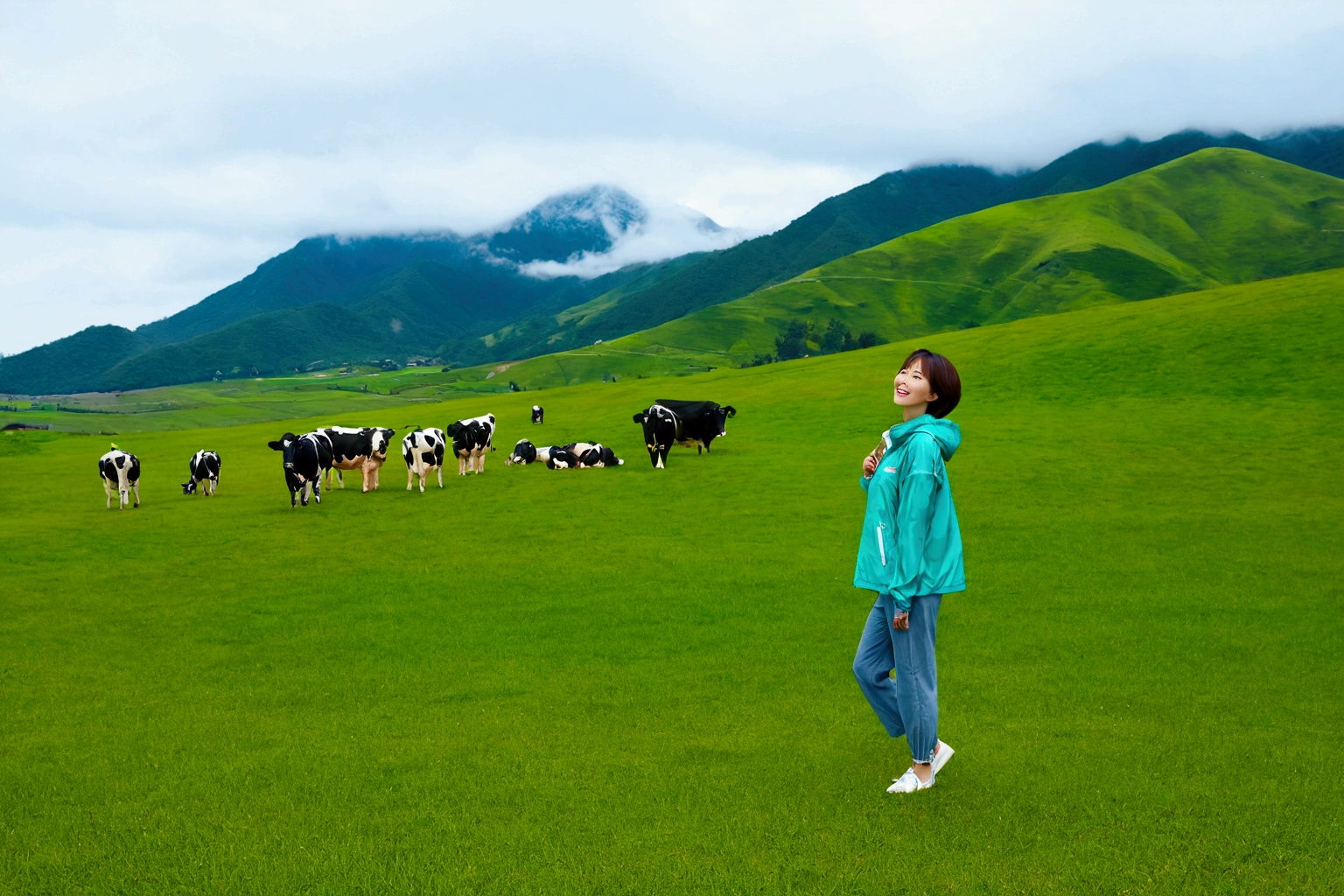 high quality, 1 woman, ((36 years old 건강한 한국 여성)), ((36 years old)), 1 woman, The eyes are big and beautiful. ((slim)), ((short medium hair)), laugh. pose: standing, Luxury brand windbreaker jacket, background: 1 woman, California, pasture, Cow, grass, Full body shot with 16-34 wide angle lens, look up to the side, So that you can see the whole body