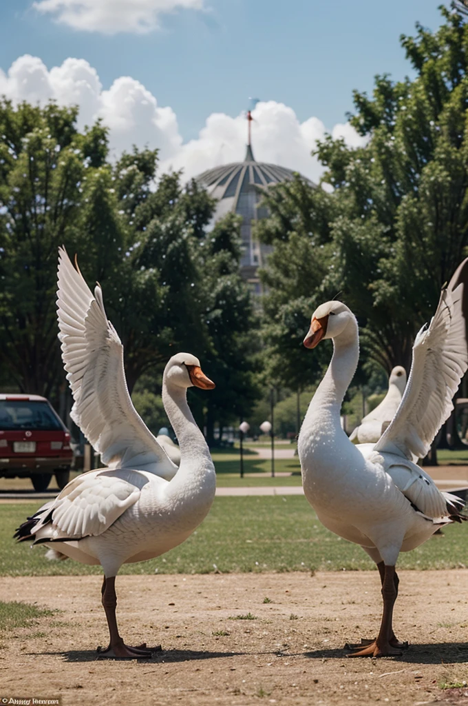 The Story of the Goose's Adventure" - Follow the adventures of a cute goose who explores the world with his friends.
"Get to know the cartoon goose character" - Get to know the unique characteristics of various cartoon swans, from the careless to the very clever.
"The Funny Story of the Goose in the Playground" - Watch the hilarious behavior of a group of geese playing in the park with various toys.
"Superhero Goose: Savior of the Day" - Swans with superpowers protect their friends from danger with their tricks and cunning.
"Adventure Goose Hunter's Journey" - Brave explorer swans search for hidden treasures on an exotic island, blocked by cute obstacles.