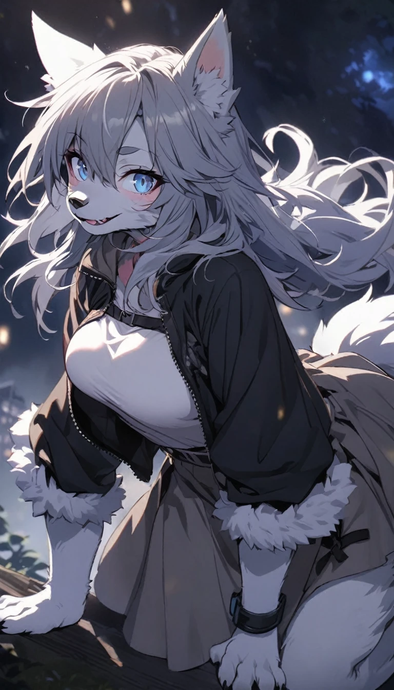 snow field，Wolf，Gray hair，blue color eyes，extreme light，long, Curly hair