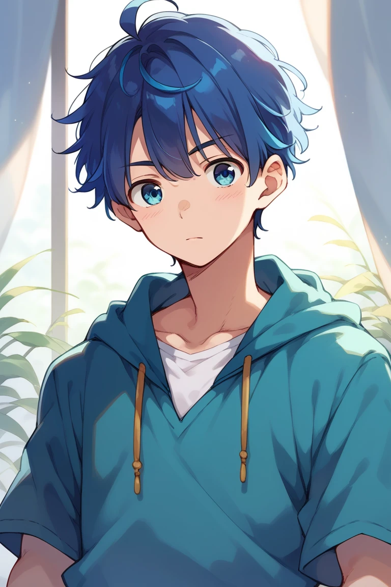 (score_9,score_8_up,score_7_up,score_6_up,score_5_up,score_4_up, source_anime), 8k, best quality, best lighting, BREAK, 1boy, 18 yo, thin eyebrows, (tareme: 1.5), droppy eyes, toned, portrait, (forehead: 0.5), blue hair, blue eyes
