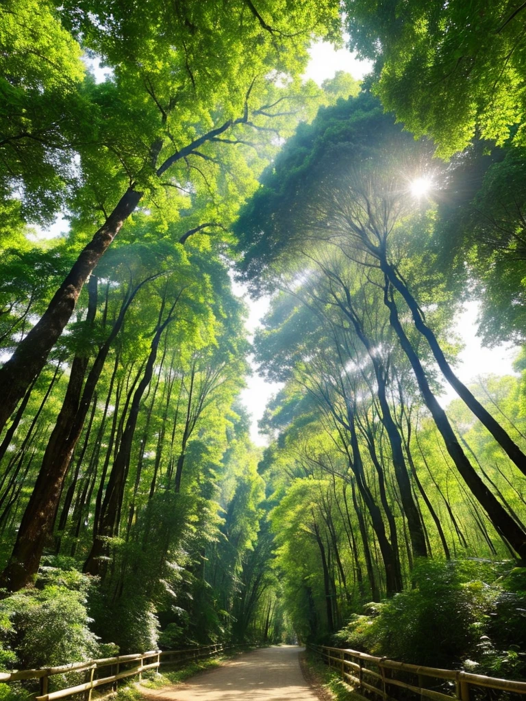 A beautiful forest is a place where nature displays all its grandeur and beauty.. Tall, majestic trees extend their branches toward the sky, forming a green canopy that filters sunlight, creating a play of shadows and shine on the leaf-covered ground. Wildflowers of various colors dot the ground, exuding soft fragrances that mingle with the fresh, pure air. Crystal clear streams meander through the trees, its soothing sounds providing a relaxing soundtrack. Birds of different species fly between the branches, singing melodies that echo through the forest, while small animals and insects move silently, completing the harmony of this vibrant and life-filled ecosystem.
