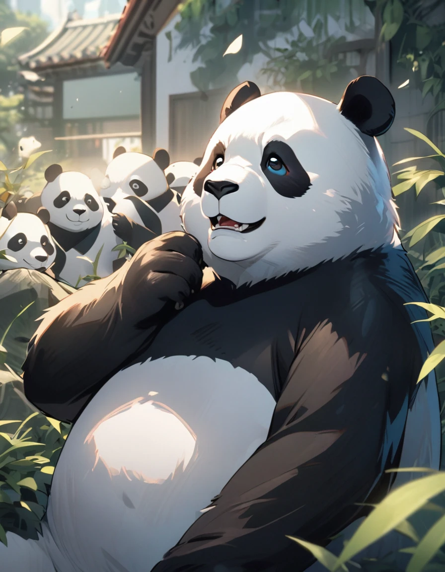 Panda