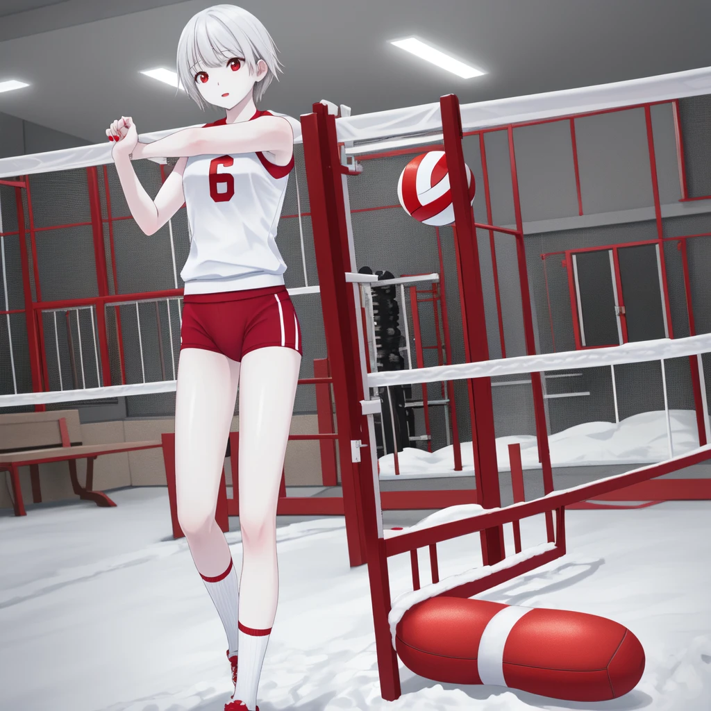 masterpiece、Highest quality，High resolution，snow-white skin、Pure white hair、Vampire Noriko Isobe、Red eyes、Pure white skin、Red nails、Volleyball Club、Pure white hairの毛、Doing Valley、160cm or above、gym