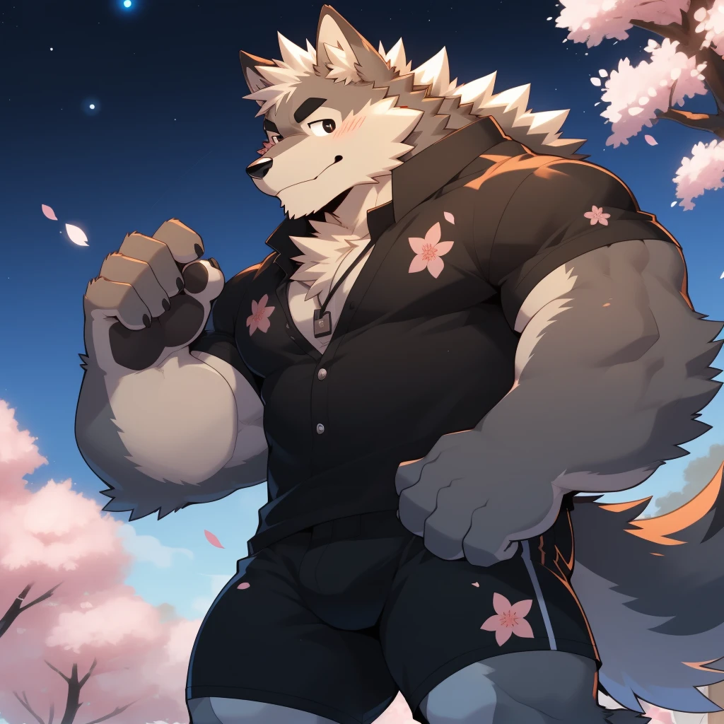 Scribble Wolf face,Cute face,Humanity(Wolf),(Black casual wear:1.3),Muscular,(Black eyebrows:1.1),(Perfect black eyes),（artist:Takemoto Arashi）,(Bulging buttocks),(black sexy underwear)，Cherry blossoms，Night Sky，Wolf尾巴，Furry Paws。