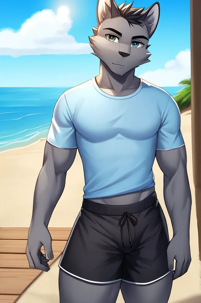 Gray furry wears a shirt with beach shorts showing his thighs with a very beautiful sheer and six-pack
