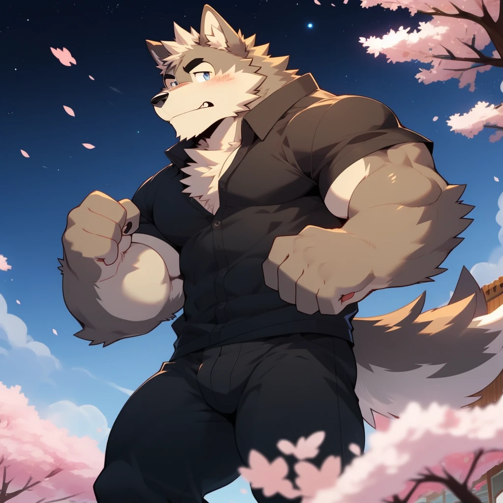 Scribble Wolf face,Cute face,Humanity(Wolf),(Black casual wear:1.3),Muscular,(Black eyebrows:1.1),(Perfect eyes),（artist:Takemoto Arashi）,(Bulging buttocks),(black sexy underwear)，Cherry blossoms，Night Sky，Wolf尾巴，Furry Paws，Clench your fists，cry。