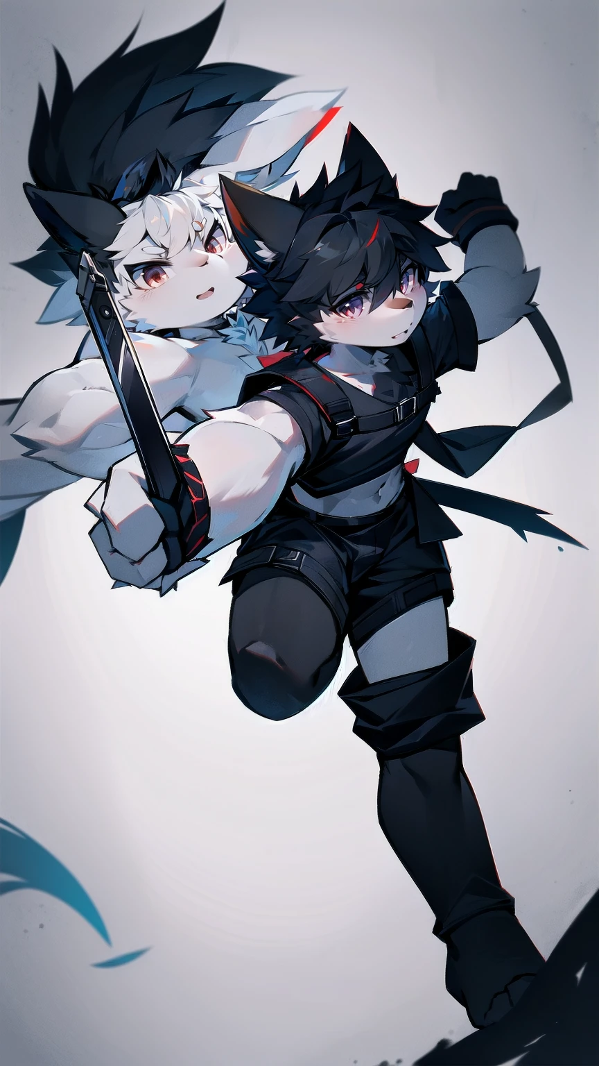 White Wolf，black hair，Red eyes，Wolf ears，Wolf Tail，juvenile，male，hairy，Hair，Half body armor，Combat uniform，Silver and black clothing，Handsome，Handsome，shorts，The forearm is exposed，leg，Fighting Stance，Duel，Two people，Anxious，Armed with a sword，Simple background，Swords