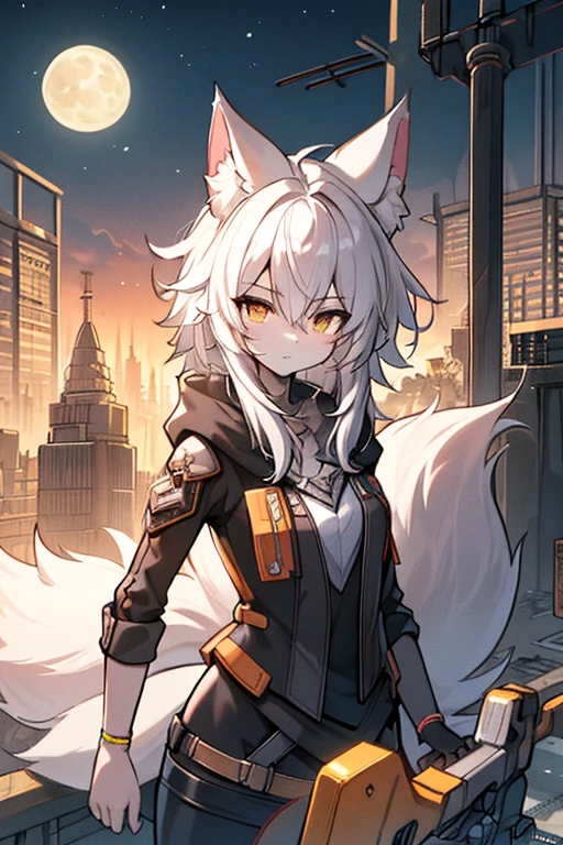 fluffy fox, femal, white fur, night, moon hair, fluffy tail, chest, hips, in a black cloak, hunter, holding a crossbow, at a construction site in a post-apocalyptic city, zenless zone zero style