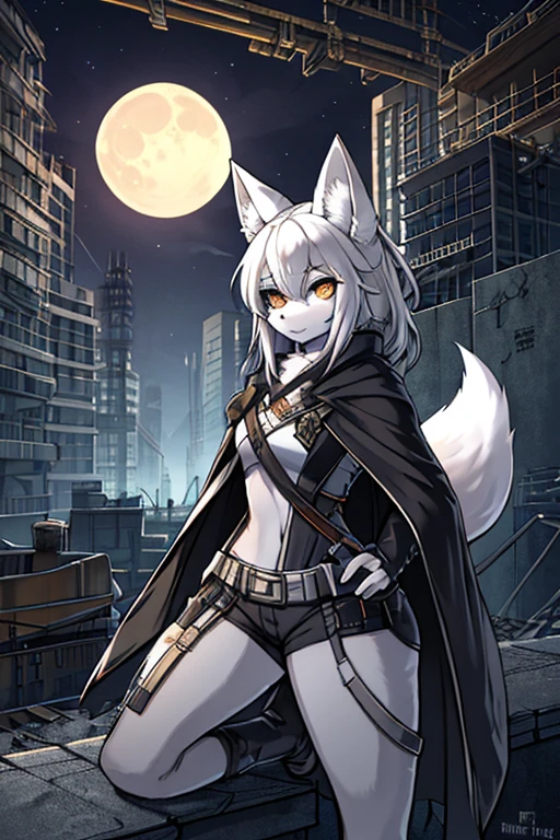 fluffy fox, femal, white fur, night, moon hair, fluffy tail, chest, hips, in a black cloak, hunter, crossbow in hand, at a construction site in a post-apocalyptic city, zenless zone zero style
