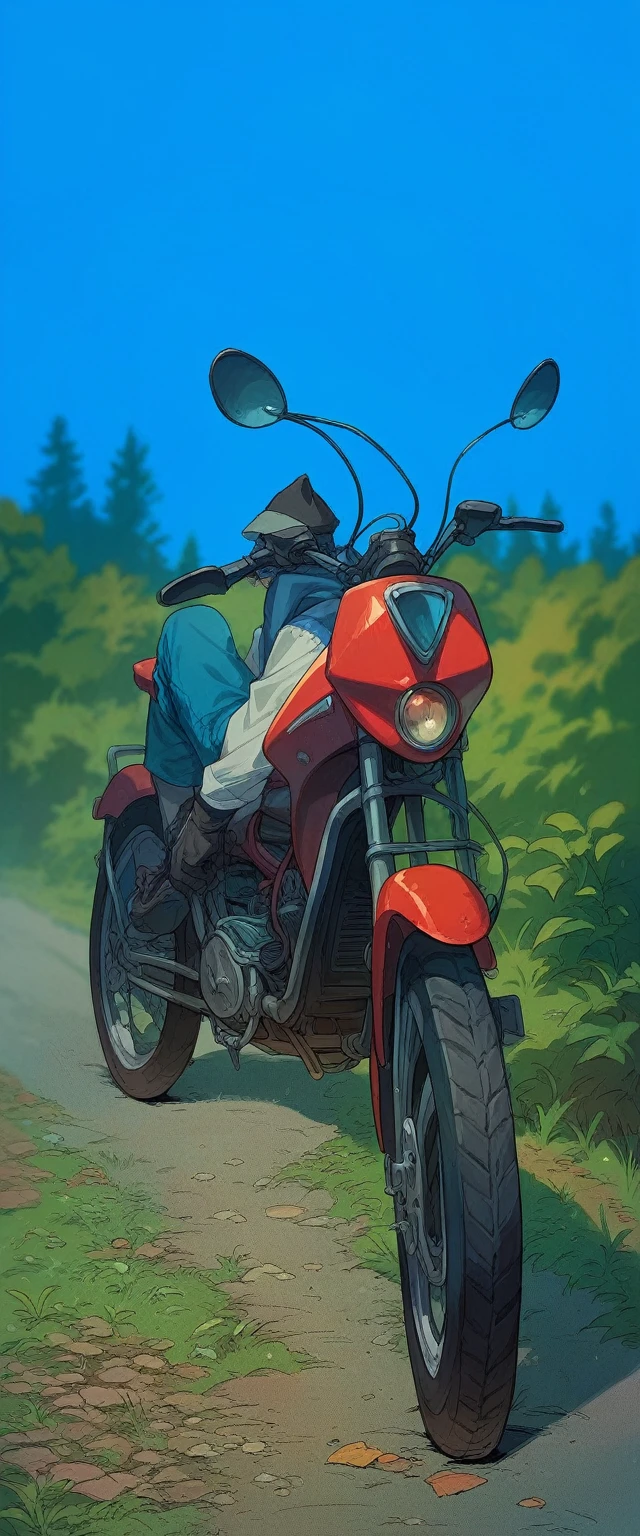 This bike on a forest side road