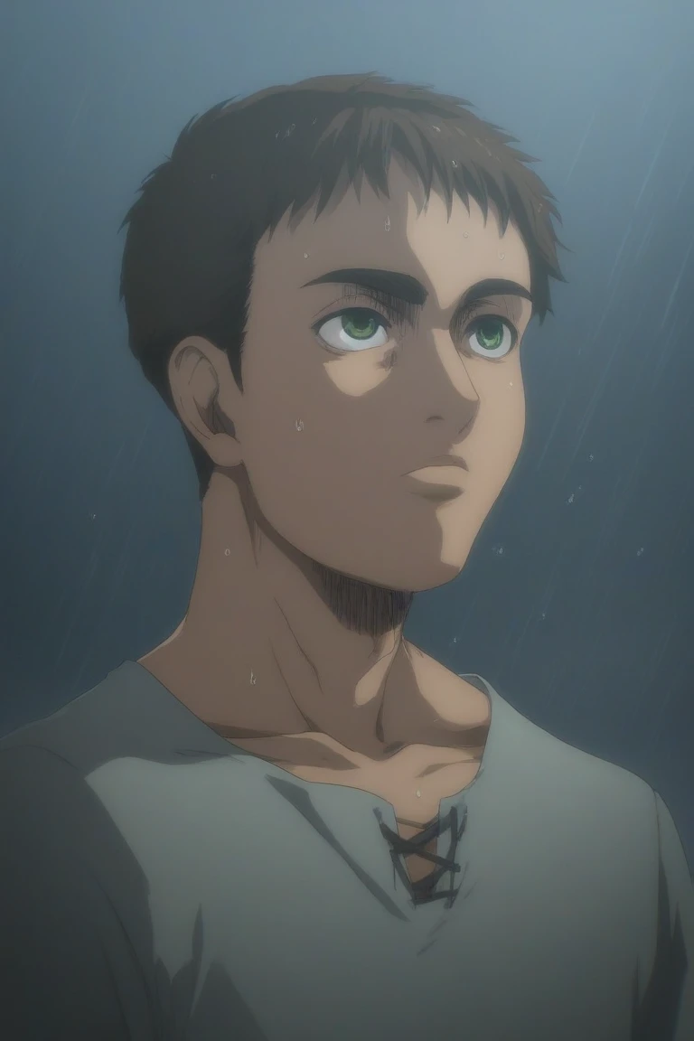 score_9, score_8_up, score_7_up, source_anime, rating_safe, , masterpiece, best quality, youle, 1boy, male focus, solo, brown hair, green eyes, standing, straight-on, upper body, (looking up), wet, looking at sky, thinking, t-shirt, rain, dark, fog