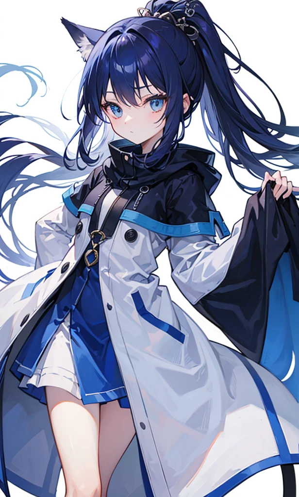 Dark blue fox-like high ponytail,Simple light blue cotton coat,Petite cute sweet lady girl