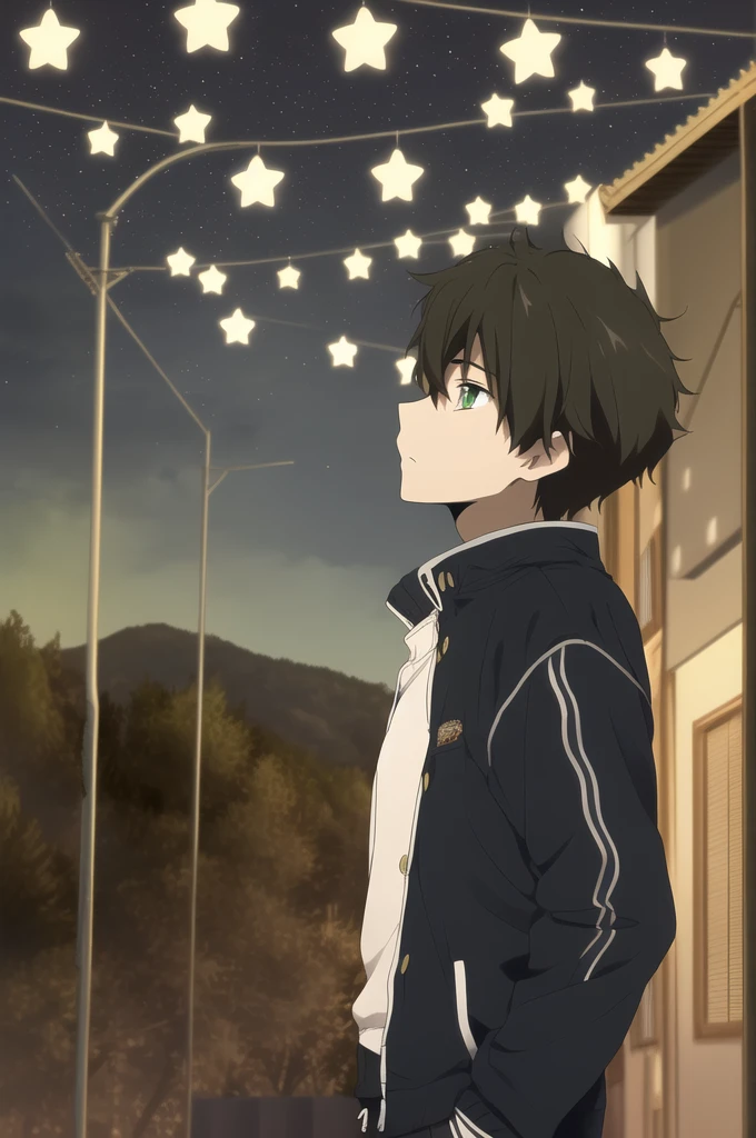 masterpiece, best quality, youle, 1boy, male focus, solo, brown hair, green eyes, standing, straight-on, upper body, (looking up), (masterpiece, best quality:1.2), night, star \(sky\), landscape scenery, from side, solo, male focus, 1boy, looking to the side, short hair, jacket, pants