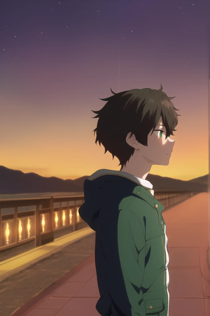 masterpiece, best quality, youle, 1boy, male focus, solo, brown hair, green eyes, standing, straight-on, upper body, (looking up), (masterpiece, best quality:1.2), night, star \(sky\), landscape scenery, from side, solo, male focus, 1boy, looking to the side, short hair, jacket, pants