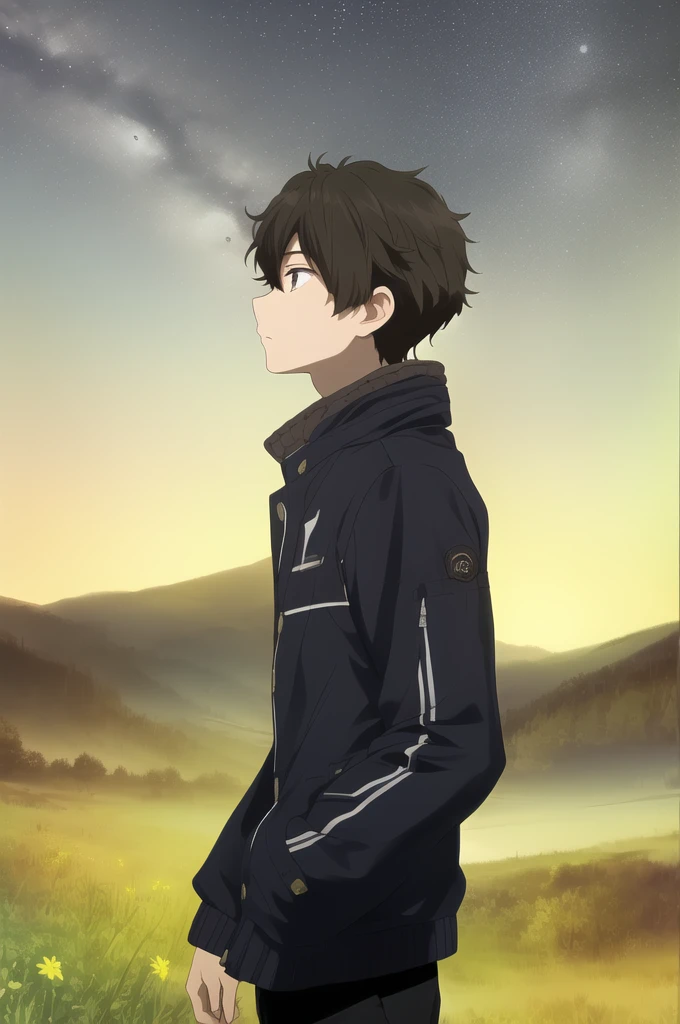 masterpiece, best quality, youle, 1boy, male focus, solo, brown hair, green eyes, standing, straight-on, upper body, (looking up), (masterpiece, best quality:1.2), night, star \(sky\), landscape scenery, from side, solo, male focus, 1boy, looking to the side, short hair, jacket, pants