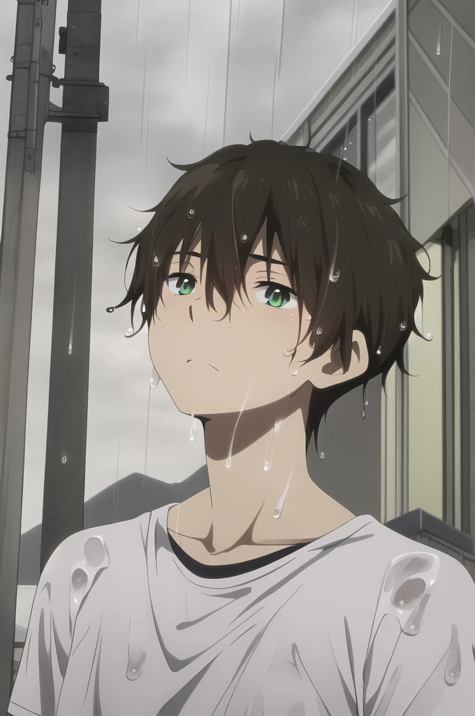 masterpiece, best quality, youle, 1boy, male focus, solo, brown hair, green eyes, standing, straight-on, upper body, (looking up), wet, looking at sky, thinking, t-shirt, rain, dark, fog