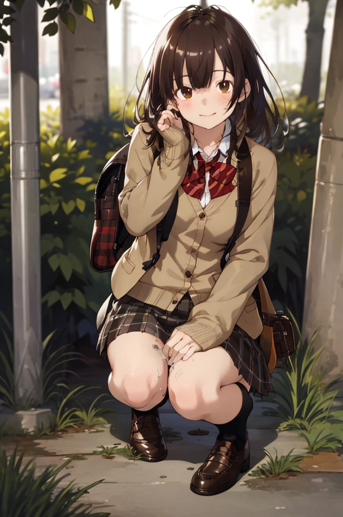 masterpiece, best quality, 1girl, solo, skirt, bag, outdoors, jacket, squatting, socks, shoes, looking at viewer, brown footwear, , plaid, loafers, blazer, brown hair, plaid skirt, black socks, long sleeves, bangs, open clothes, open jacket, bow, brown eyes, pleated skirt, bowtie, day, long hair, full body, bush, red bow, kneehighs, shirt, closed mouth, sleeves past wrists, backpack, , red bowtie, black jacket, school bag, blush, plant, brown skirt, hand on own cheek, blurry, collared shirt, miniskirt, white shirt, cardigan, grass, sweater, light smile,(Sex with guys:1.5)