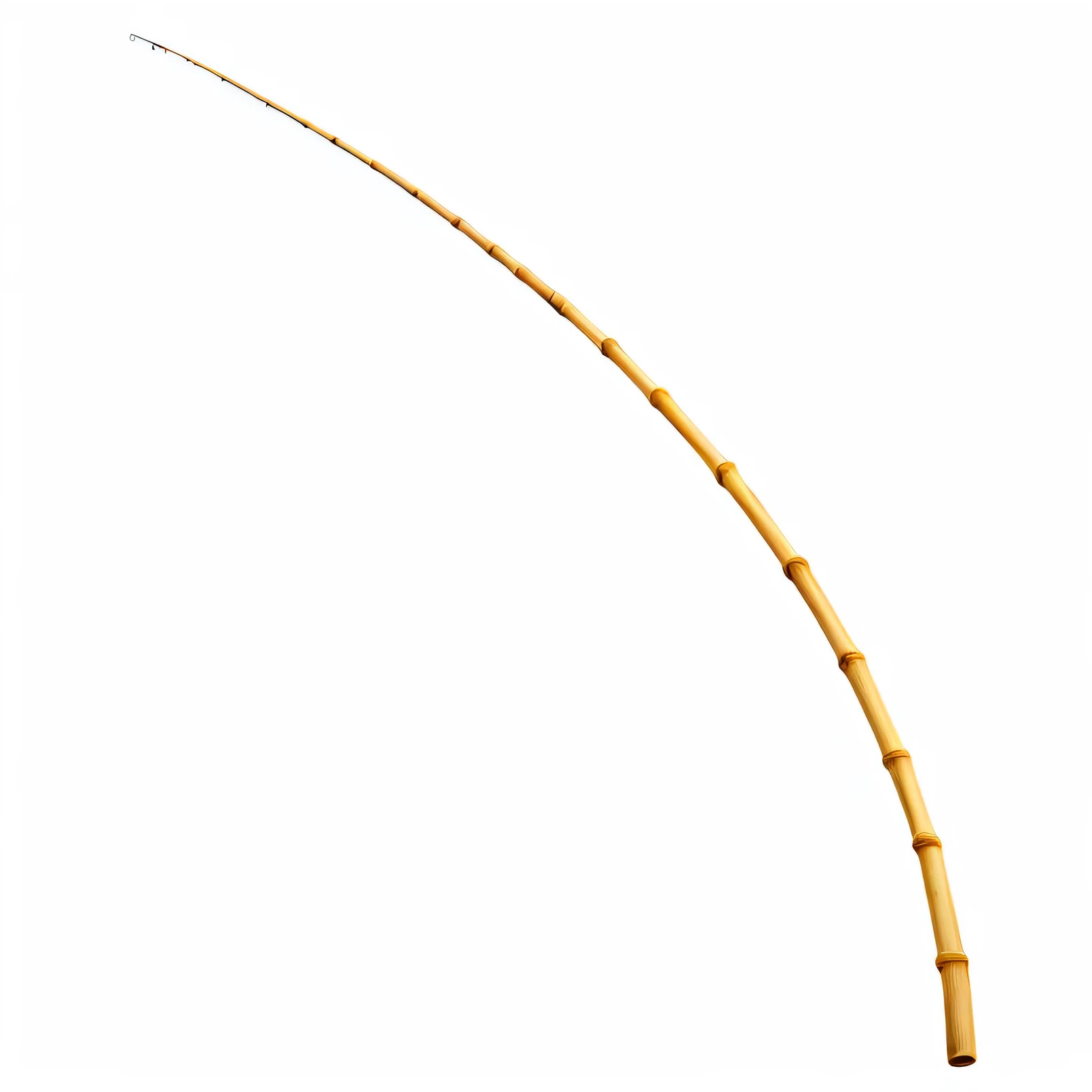 Bamboo Fishing Rod