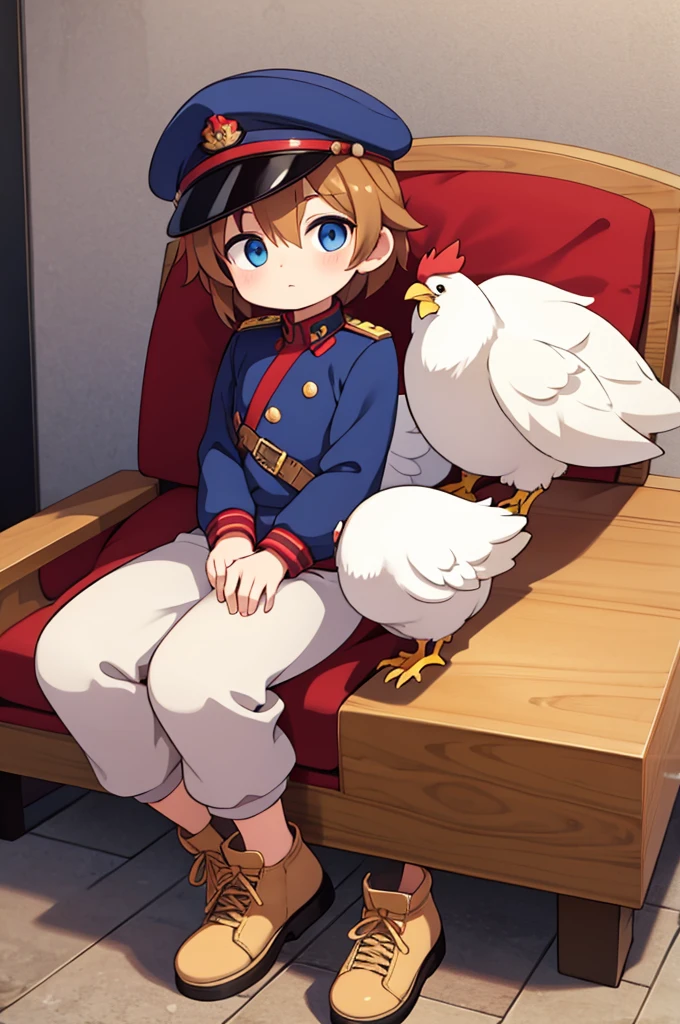 male chicken looking straight ahead, sitting cutely, soldier hat