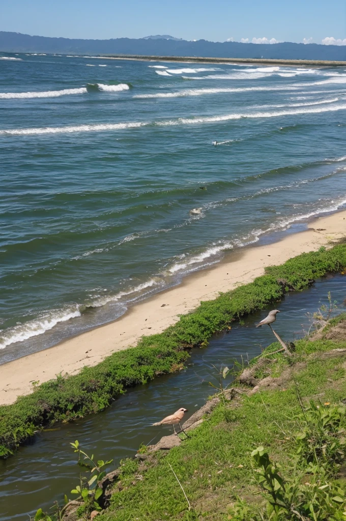 Small bird at the river mouth、fish、There are insects etc.