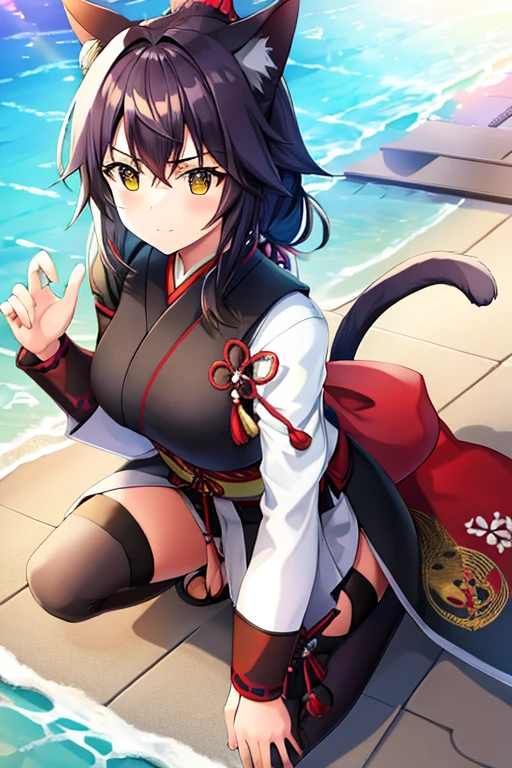 Cat, Samurai