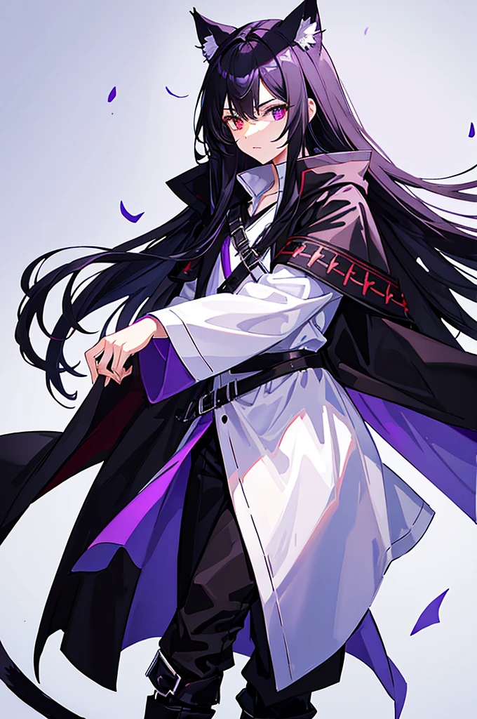 Black Hair少年,Around fifteen years old,Black Hair,Cat ear,Cat tail,Purple cloak,Heterochromia,Red left eye,Blue right eye,White shirt,Purple cloak,Standing,whole body,For the audience,White background,masterpiece,HD,4K,Detailed facial depiction,Black trousers,Black boots,Black Hair,White background(1:5)