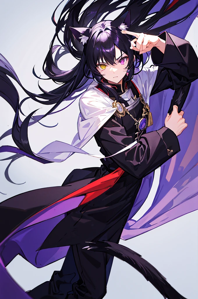 Black Hair少年，Around fifteen years old，Black Hair，Cat ear，Cat tail，Purple cloak，Heterochromia，Red left eye，Blue right eye，White shirt，Purple cloak，Standing，whole body，For the audience，White background，masterpiece，HD，4K，Detailed facial depiction，Black trousers，Black boots，Black Hair，White background（1:5）
